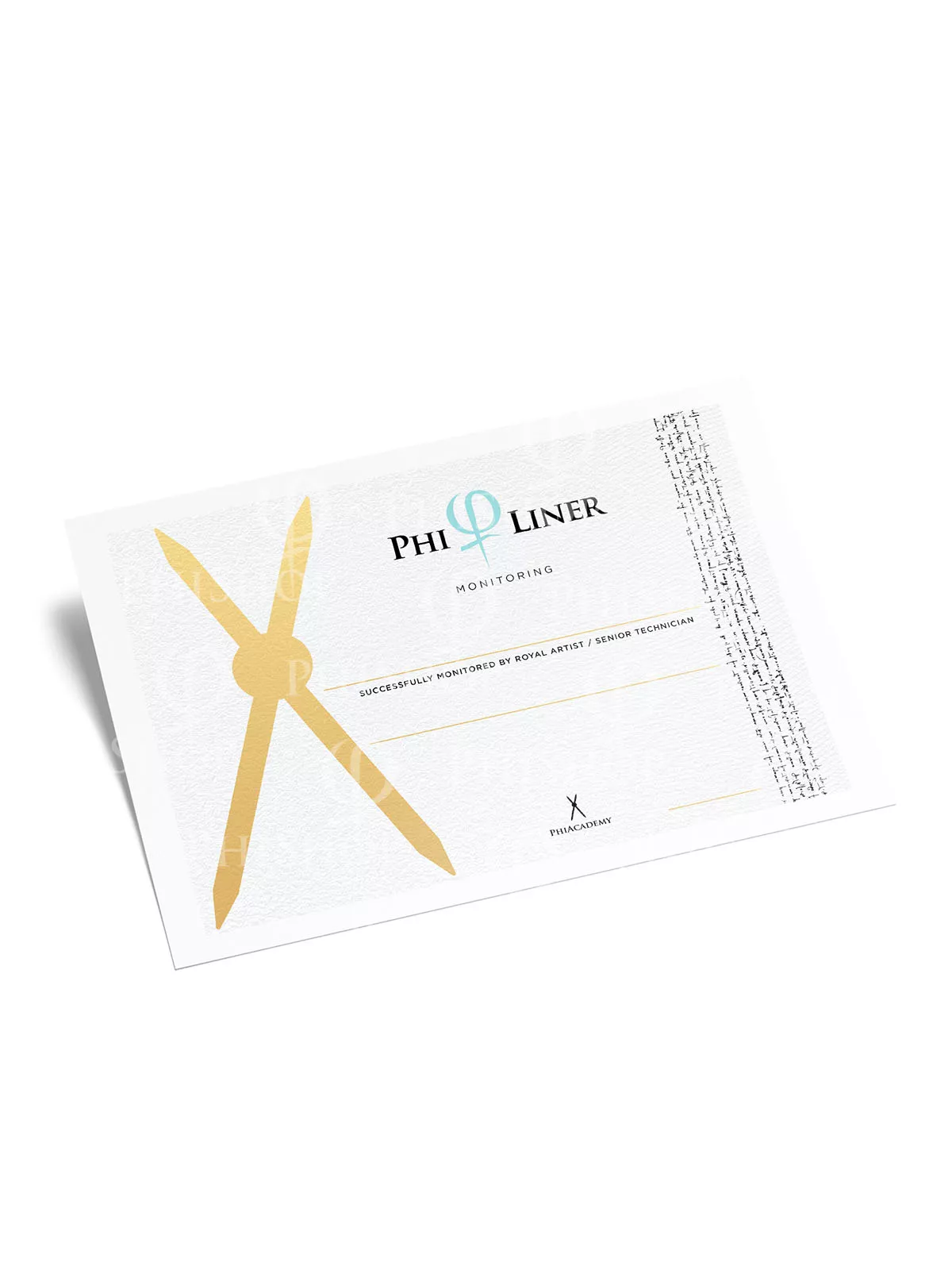 PhiLiner Monitoring.jpg